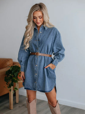 Button up collared neck long sleeve denim dress front view